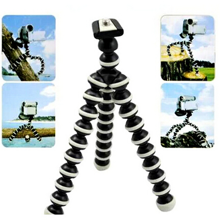 _vyrp12_257tripodoctopus4