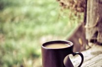 Something is Brewing at Hunt Zone